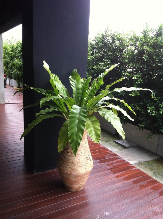 The Logbook Room And Cafe' Chonburi Exterior foto